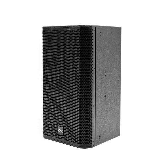 Активная акустическая система AST-310A в Карелии