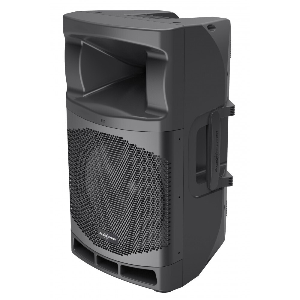 Audiocenter MA12 активная акустическая система в Карелии