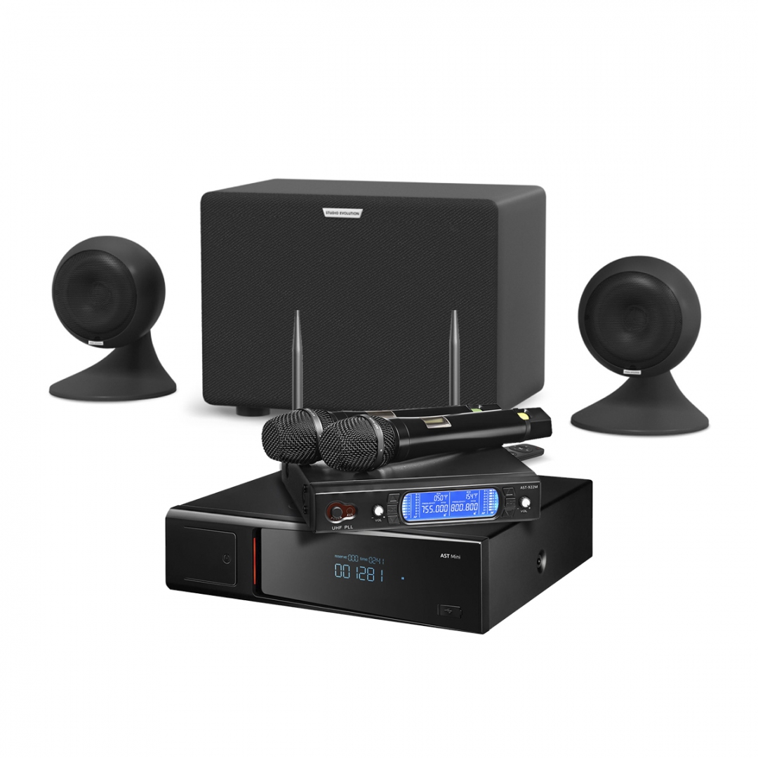караоке-комплект AST Mini Sound Sphere в Карелии