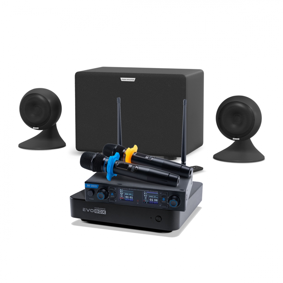 караоке-комплект EVOBOX + EvoSound Sphere 2.1 в Карелии