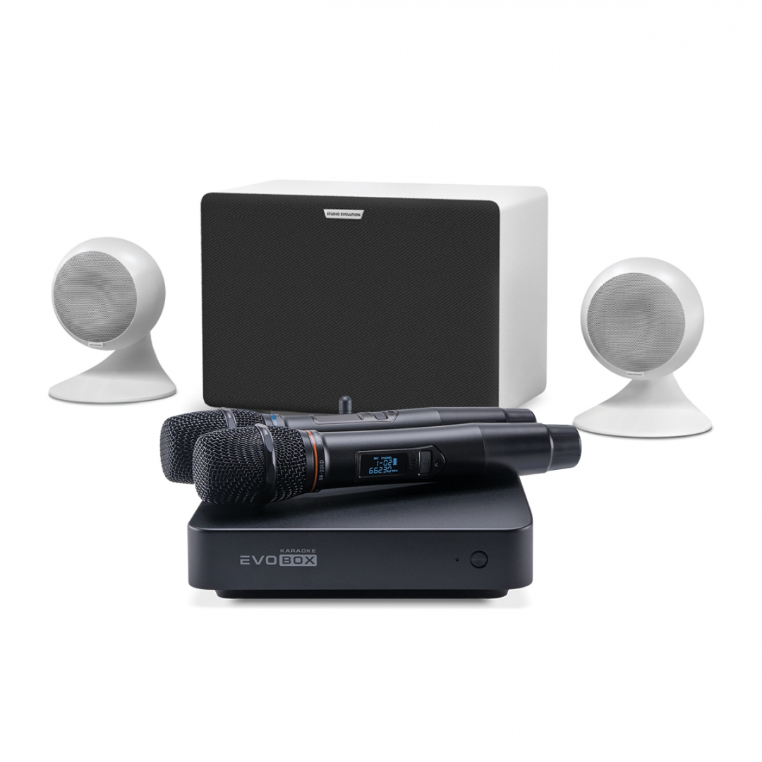 караоке-комплект EVOBOX Classic + EvoSound Sphere 2.1 в Карелии
