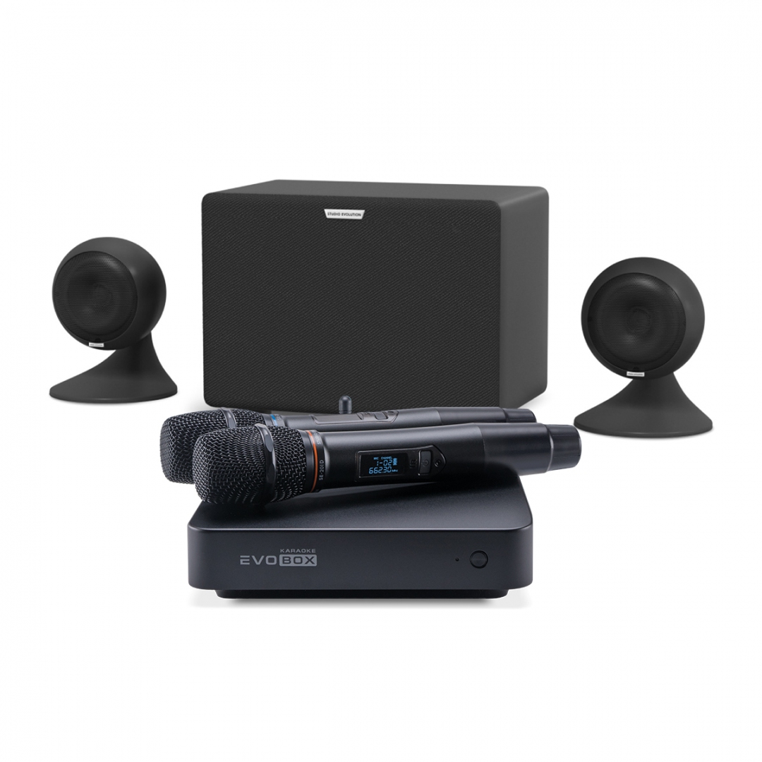 караоке-комплект EVOBOX Plus + EvoSound Sphere 2.1 в Карелии