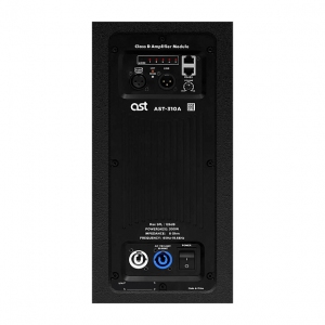 Активная акустическая система AST-310A в Карелии