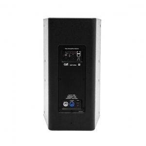 Активная акустическая система AST-310A в Карелии