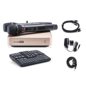 EVOBOX Classic караоке-система для дома в Карелии