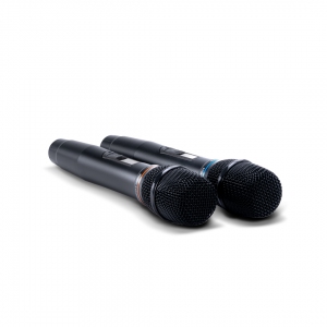 SE-200D цифровые микрофоны в Карелии