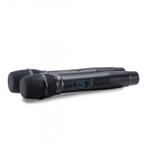 SE-200D цифровые микрофоны в Карелии